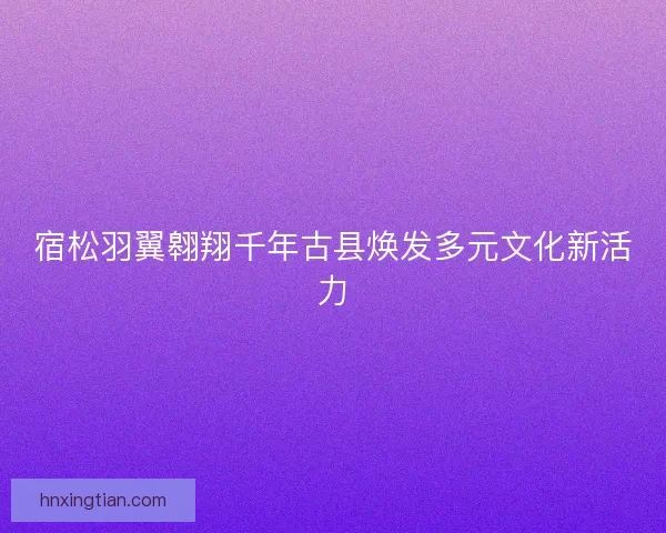 宿松羽翼翱翔千年古县焕发多元文化新活力